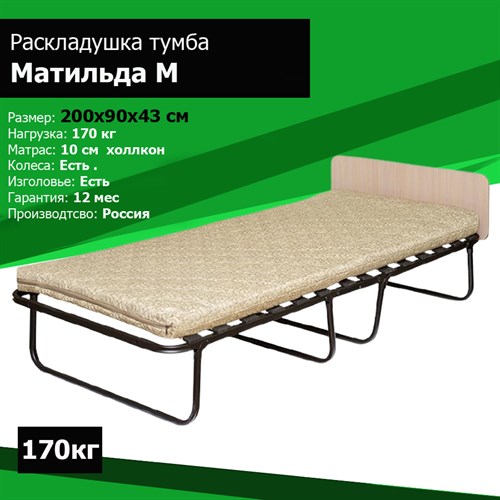 Раскладушка даметекс элеонора м с матрасом 200x90x43см