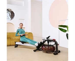 {{photo.Alt || photo.Description || 'Водный гребной тренажер DFC PoMt PMWR2020'}}