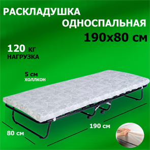 {{photo.Alt || photo.Description || 'Раскладушка Даметекс Виктория 800 М (80х190х26)'}}