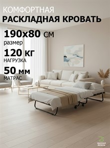 {{photo.Alt || photo.Description || 'Раскладушка Даметекс Виктория 800 М (80х190х26)'}}