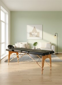 {{photo.Alt || photo.Description || 'Массажный стол DFC NIRVANA, Relax Pro,  дерев. ножки, цвет черный (Black) TS3021_B1 / 219х91х84 см'}}