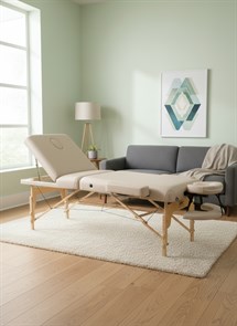 {{photo.Alt || photo.Description || 'Массажный стол DFC PROFI3 TS312H складной / 220 х 90 х 91 см'}}