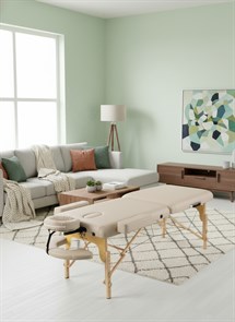 {{photo.Alt || photo.Description || 'Массажный стол DFC PROFI2 TS212H складной / 220 х 90 х 88 см'}}