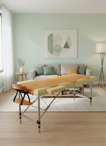 {{photo.Alt || photo.Description || 'Массажный стол DFC NIRVANA Elegant PREMIUM, цвет оранжево-бежевый TS2010_OB2 / 211х97х89 см'}}