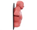 Настенный боксерский манекен WALL-MOUNTED PUNCHING MAN TLS-W - фото 100963