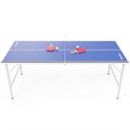 Теннисный стол DFC RayChee 60" 150 x 67 см RQ23001-PP - фото 101695