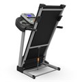 Беговая дорожка DFC WALKER EVO PRO для реабилитации T-S1 PRO - фото 102639