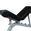 Скамья силовая универсальная DFC DBCH3 - фото 48656