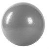 Мяч гимнастический ВВ-001РР-26 (65см) - фото 69366