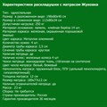 Раскладушка Жуковка NEW с пружинным матрасом 12 см (198х80х40см) - фото 82777