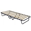 Раскладушка Даметекс Виктория 800 М (80х190х26) - фото 92204