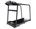 Беговая дорожка DFC Cora T165 - фото 97222