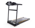 Беговая дорожка DFC BERIT T-107 - фото 97248