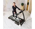 Беговая дорожка DFC SILUET FITNESS T0005S - фото 97502
