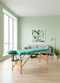 Массажный стол DFC NIRVANA, Optima, дерев. ножки, цвет зеленый (Green), TS20110S_Gr / 213х81х83 см - фото 99663