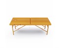 Массажный стол DFC NIRVANA, Relax, дерев. ножки, цвет горчичный (Mustard) TS20111_M / 186х70х84 см - фото 99791