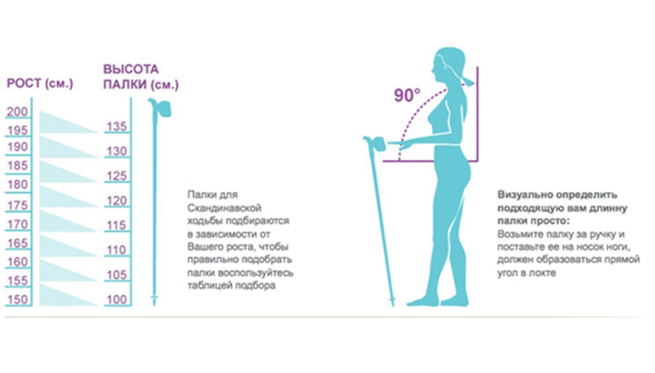 Как подобрать палки по росту. Как подобрать длину скандинавских палок по росту. Палки для скандинавской ходьбы подобрать по росту. Палки для скандинавской ходьбы по росту таблица. Таблица высоты палок для скандинавской ходьбы.